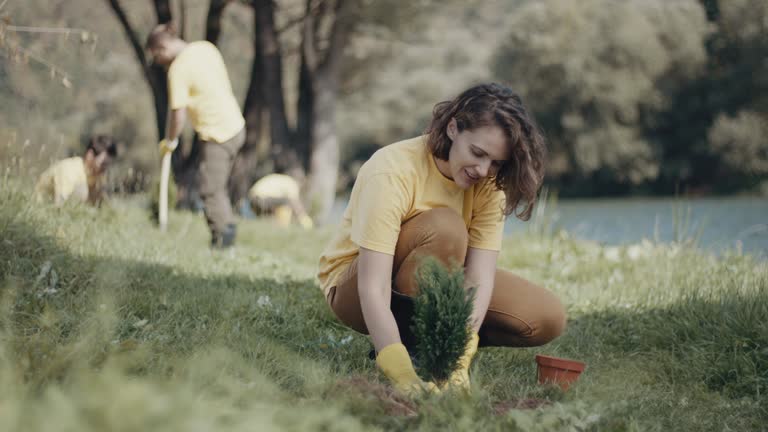 Best Lawn Maintenance Plans  in New Cassel, NY