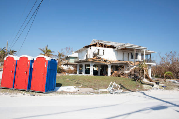 Best Stump Grinding and Removal  in New Cassel, NY